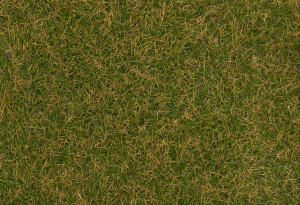 Brownish Green Wild Grass Fibres 4mm (80g)